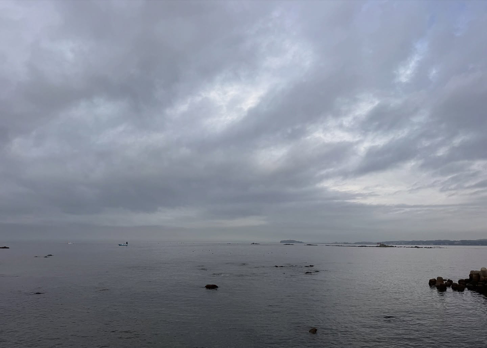 画像769