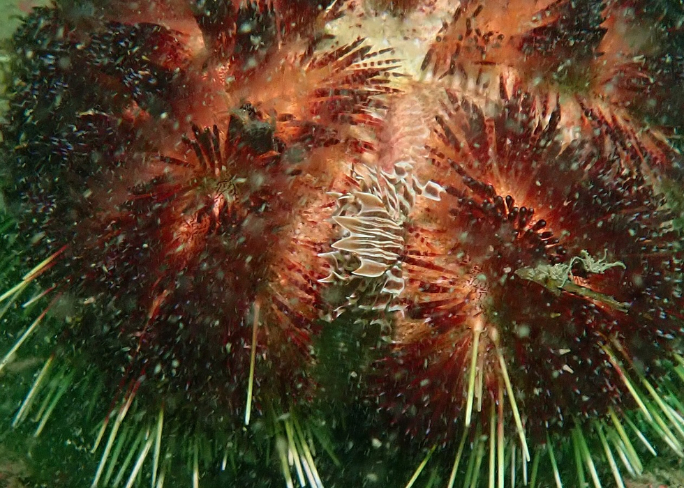画像797