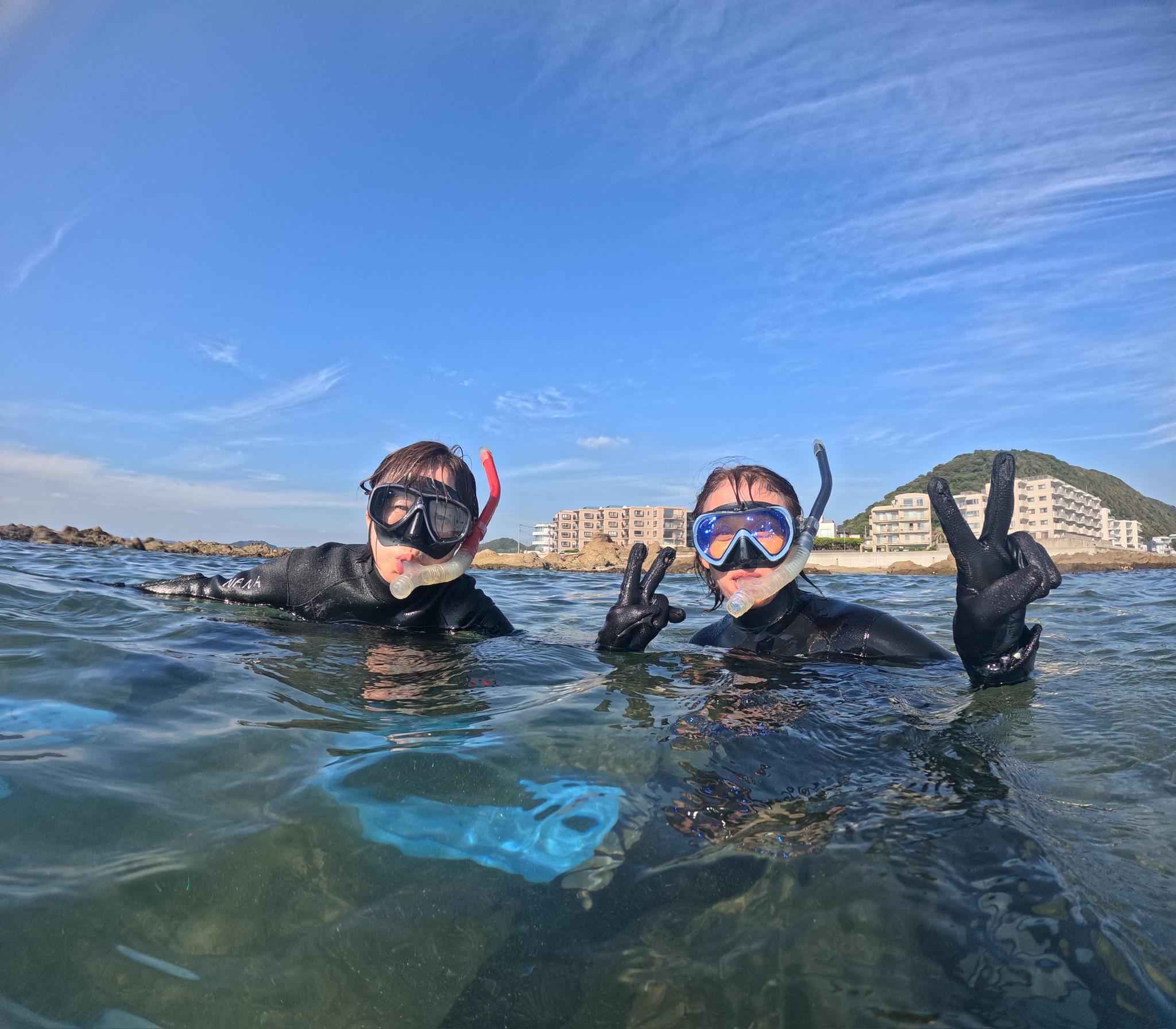海の生き物たちとの出会い