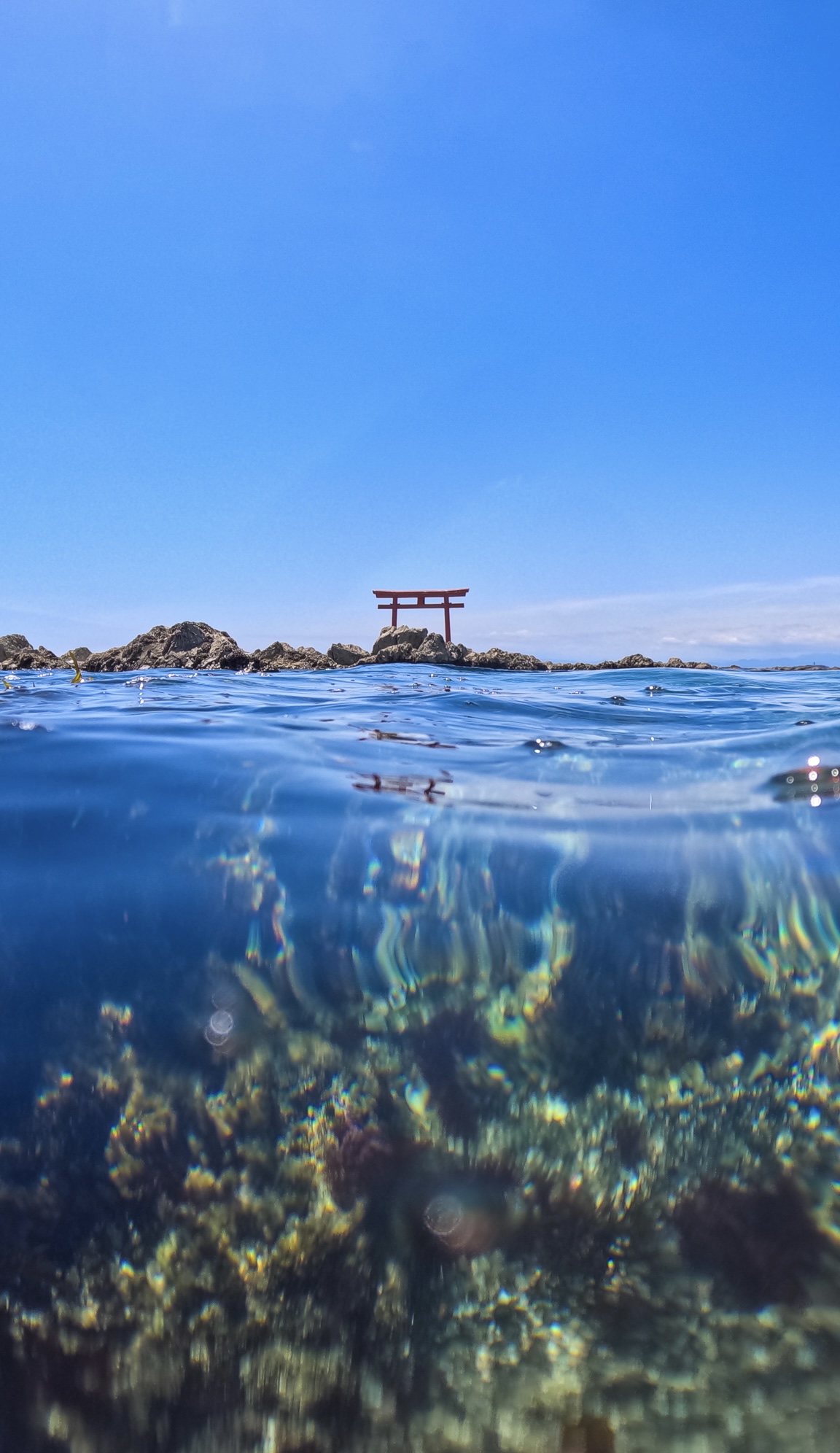 5. 安全対策とインストラクターのサポート