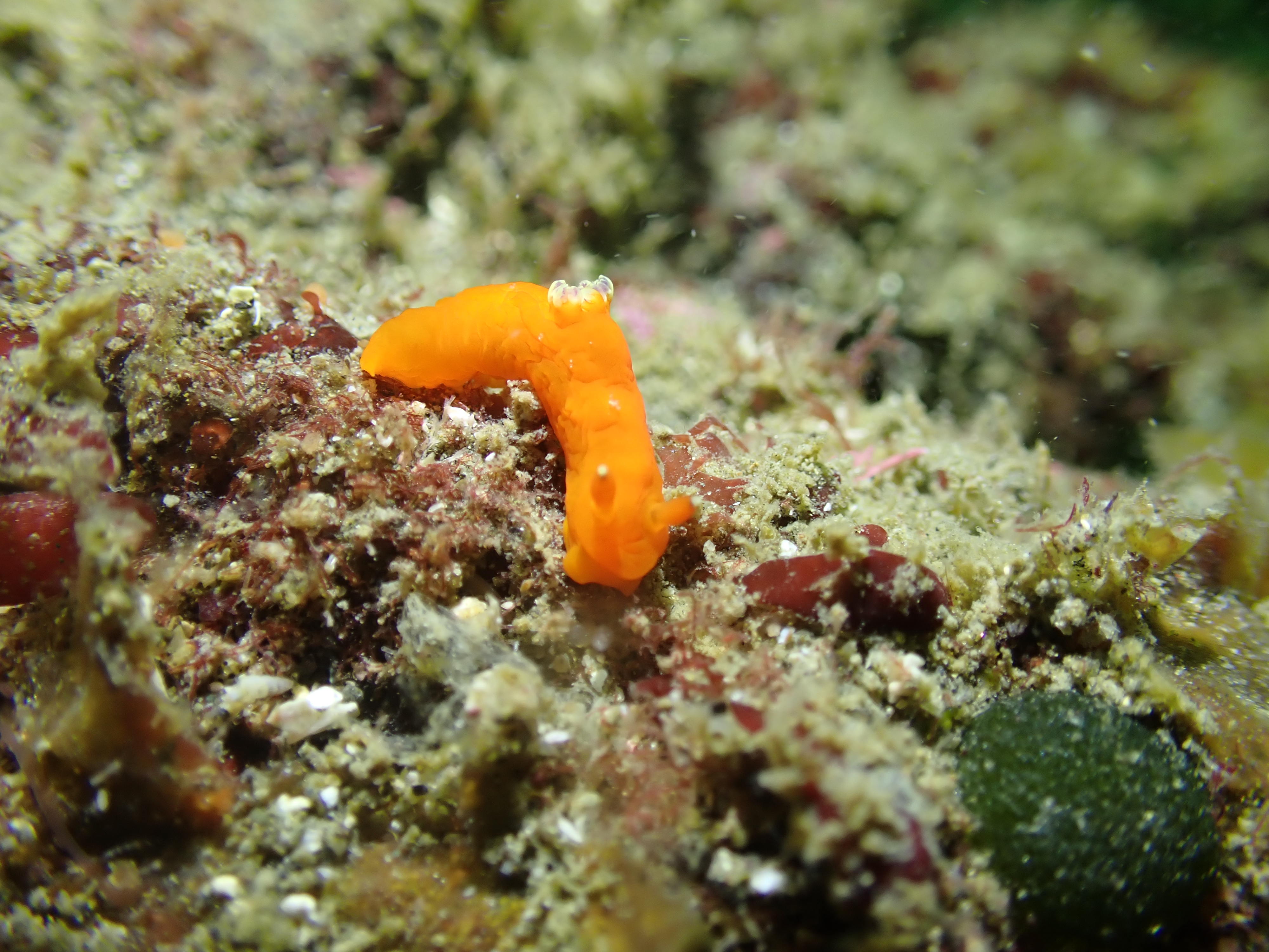 7. さあ、あなたの海の冒険を始めよう！