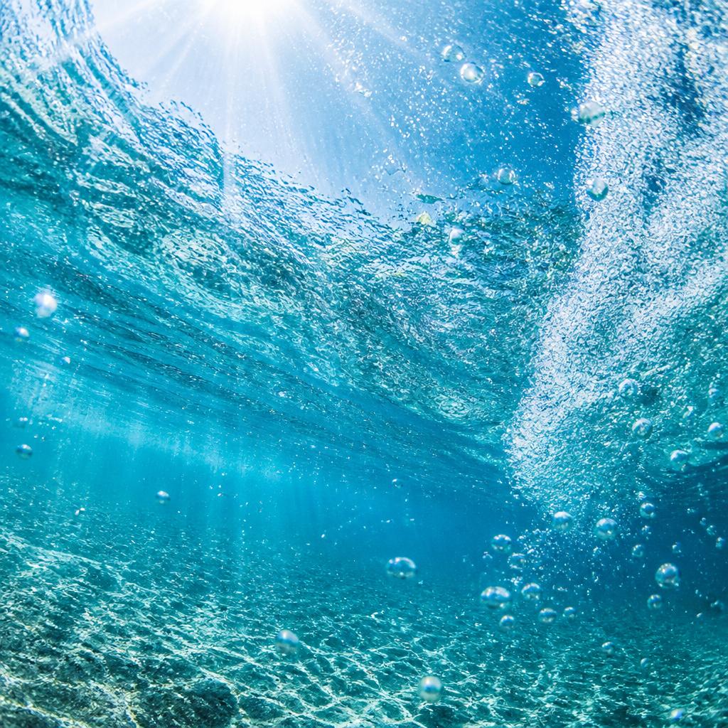 湘南の海で心躍る水中撮影体験を！