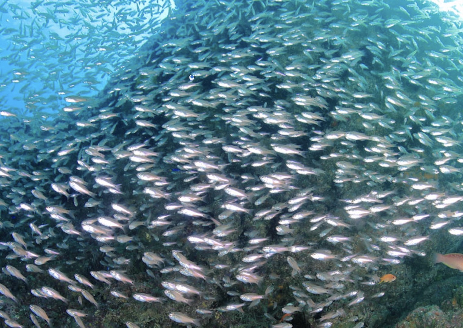 秋の葉山で、海の魅力を存分に感じよう！