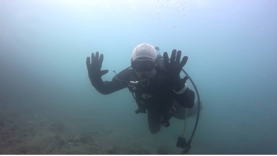 自分のペースで楽しむ、安心の水中ツアー