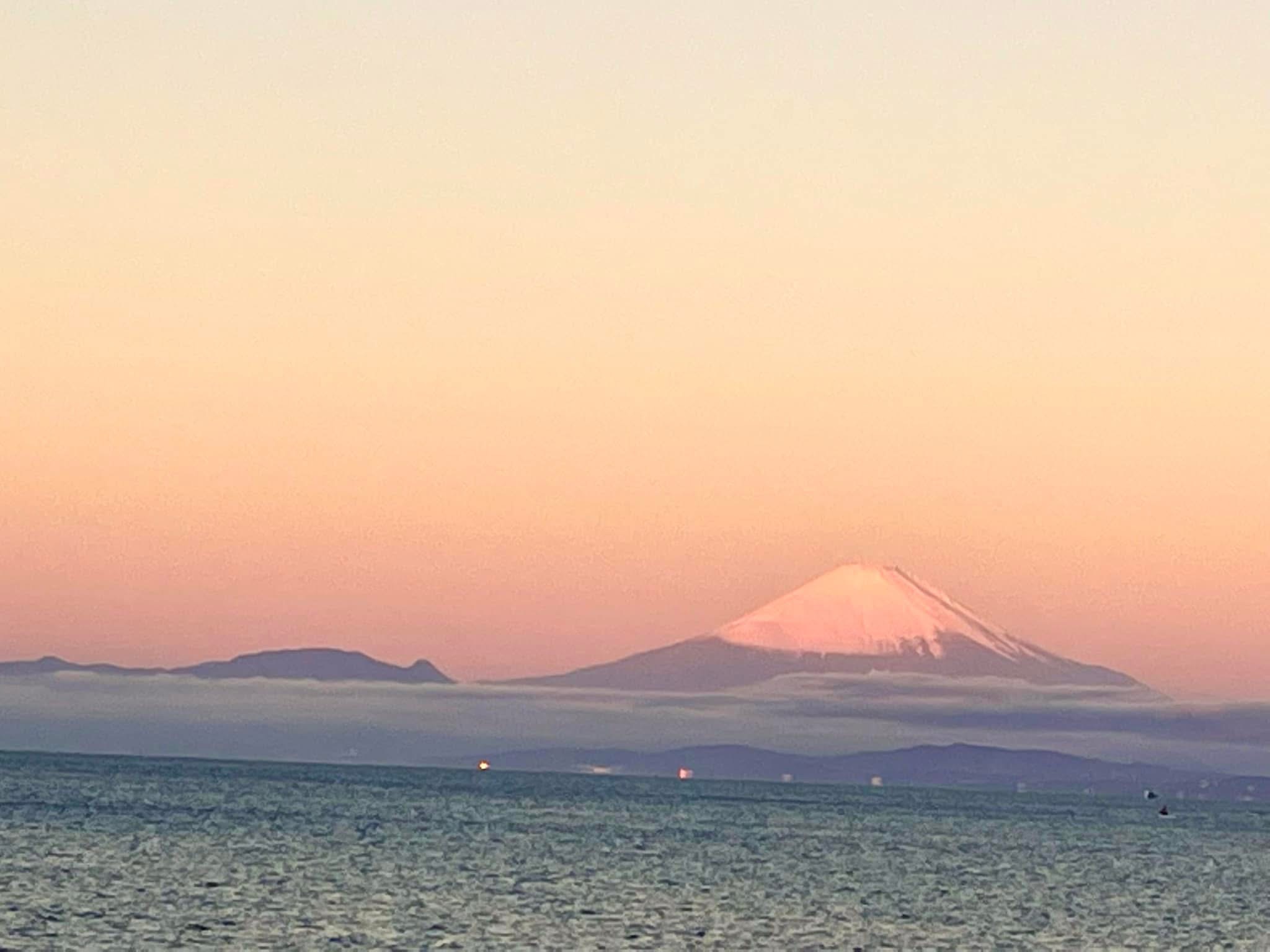 湘南の風景とともに